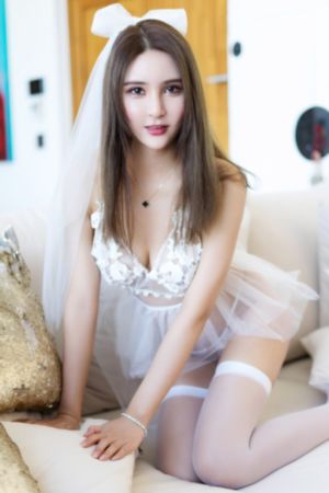 真心英雄电视剧免费观看