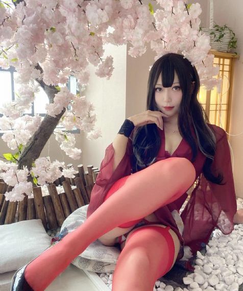 那年花开月正圆全集免费播放